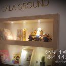 라라해충방제
