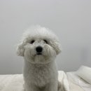 슈앤트리 이미지