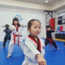 경희대 키즈 태권도장 이미지