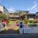 소나무풍경 이미지