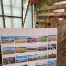 보롬제주 이미지