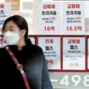 강남시장(6) 이미지