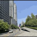 청파로(동측) 이미지