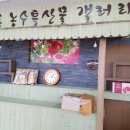 고흥 만남의 광장 이미지