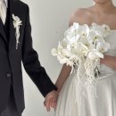 산이스튜디오 | 🕊️w.8 ona스튜디오 b타입 후기 : 김수용 실장님, 아이폰스냅, 메이킹영상 추가