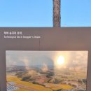 우리나라 청동기시대를 대표하는 마을 유적인 부여 송국리 유적 이미지