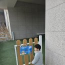 코레일대전어린이집 | [직장어린이집 후기①] 코레일 대전충남 어린이집, 실패없는 선택 이유