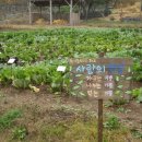 유기농테마파크(도시공사)