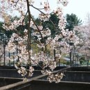 동해 구상수시설 이미지