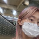 시현광택 이미지