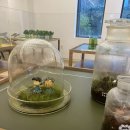 창렬농장 이미지