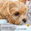 쏭스토랑 이미지