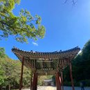 의성 산불 확산으로 전소된 고운사