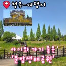 원평로 | 청주 여행지 아이와 가기 좋은 문암생태공원 방문 후기 놀이터 애견동반 주차장
