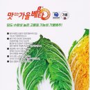 [공동구입] "맛있는 가을베타" 김장 배추 씨앗 나눔합니다.(조건나눔) 이미지