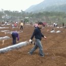 정말농장 이미지