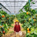 낙원농장3 이미지