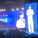 스카이돔스크린 이미지