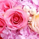 하니 태양광발전소 이미지