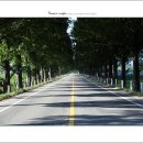 벌교농협주유소 이미지