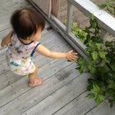 물빛인쇄소 | [1박2일 가족여행] 강화도수영장펜션/강화도예쁜펜션/물빛인쇄소팬션 _ 2탄