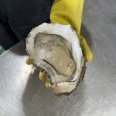 미래유통