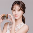 한빛화장품 뉴스엔