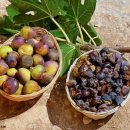 긍휼의집 이미지