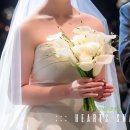 👰🏻‍♀️🤵🏻‍♂️치코리 본식후기 2 -비제휴업체들 후기!! (긴글주의❣️❣️)
