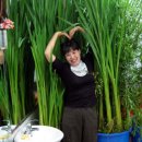 신안미용실 이미지