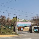 쎄려언니 이미지