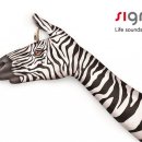 시그니아독일보청기 송파센터 이미지