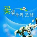 분홍빛 Daum카페
