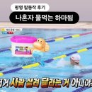 아쿠아비스트 | 수영초보의 수영 강습 후기 (6주차)