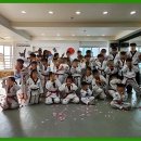 고려체대태권도 이미지