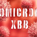 고도의 면역 회피성 omicron XBB.1.5 변종은 매주 두 배로 증가하면서 미국에서 빠르게 우세해지고 있습니다. 이미지