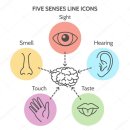 휴먼푸드서비스 시니어데이케어센터 주은 일산점 | 작업치료 인지강화 특별강의 후기 / 인제대학교 작업...안선정 교수님 - 시니어데이케어센터 주은 일산지점