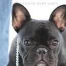 넌나의가족 네이버블로그