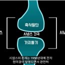 15만에 정리하는 뇌과학(신경과학) 입문 이미지