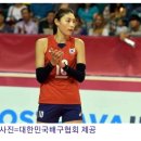 미화되고있는 김연경의 페이컷 이미지