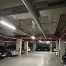 디씨메디칼 | 수원속눈썹 리미뉴에서 자연스러운 속눈썹연장 솔직후기