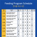 월드당구까페 이미지