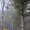 요선마을 이미지