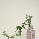 자연을 엮는 라탄공예 이미지