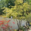 스테이독민박 | +대가족환영+5분거리 바다/산/계곡 다 잡은 울진 글램핑 펜션