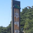 솔향기추어탕