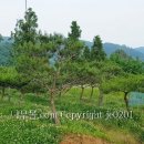 수령농장 이미지