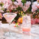 칠성관광㈜ 이미지