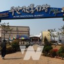 무안시장(무안임시시장) 이미지