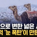 이례로-1 이미지